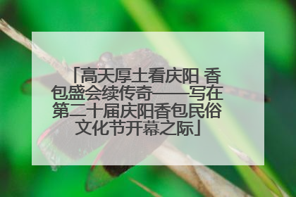 高天厚土看庆阳 香包盛会续传奇——写在第二十届庆阳香包民俗文化节开幕之际