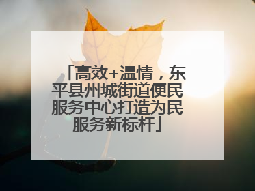 高效+温情，东平县州城街道便民服务中心打造为民服务新标杆