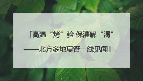 高温“烤”验 保灌解“渴”——北方多地夏管一线见闻