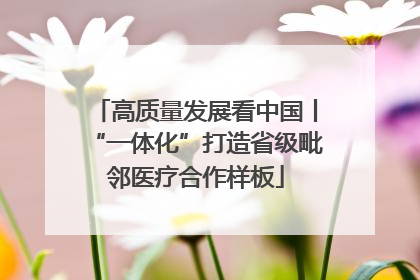 高质量发展看中国丨“一体化”打造省级毗邻医疗合作样板