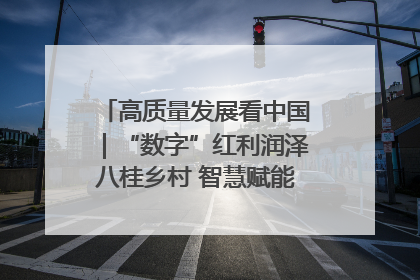高质量发展看中国｜“数字”红利润泽八桂乡村 智慧赋能绘就振兴画卷
