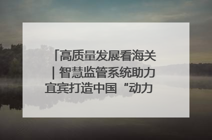 高质量发展看海关｜智慧监管系统助力宜宾打造中国“动力电池之都”