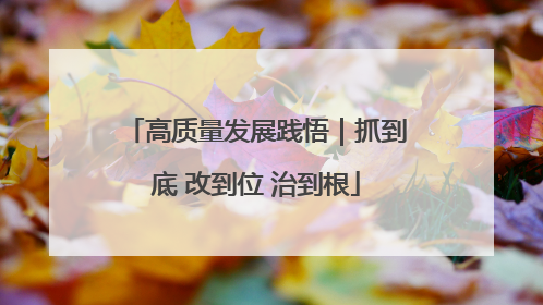 高质量发展践悟｜抓到底 改到位 治到根
