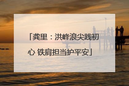 龚里：洪峰浪尖践初心 铁肩担当护平安