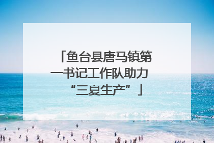 鱼台县唐马镇第一书记工作队助力“三夏生产”