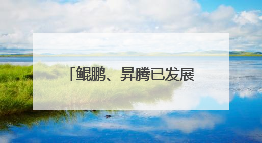 鲲鹏、昇腾已发展超665万开发者，今年将进一步开放