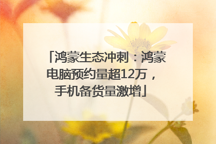 鸿蒙生态冲刺：鸿蒙电脑预约量超12万，手机备货量激增