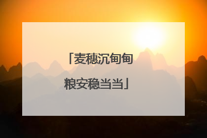 麦穗沉甸甸 粮安稳当当