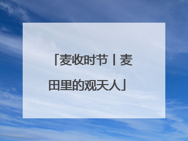 麦收时节丨麦田里的观天人