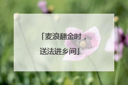 麦浪翻金时，送法进乡间