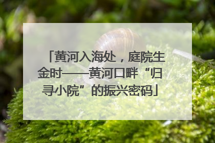 黄河入海处，庭院生金时——黄河口畔“归寻小院”的振兴密码