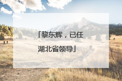 黎东辉，已任湖北省领导