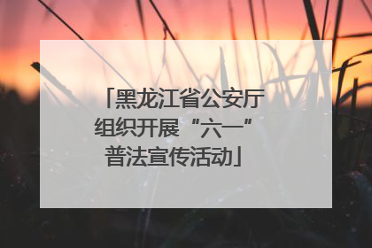 黑龙江省公安厅组织开展“六一”普法宣传活动