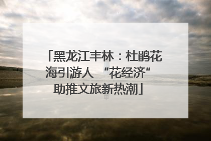 黑龙江丰林：杜鹃花海引游人 “花经济”助推文旅新热潮