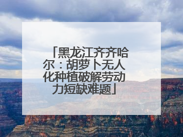 黑龙江齐齐哈尔：胡萝卜无人化种植破解劳动力短缺难题