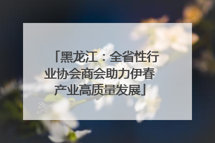 黑龙江：全省性行业协会商会助力伊春产业高质量发展