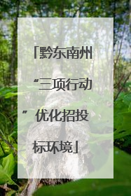黔东南州“三项行动”优化招投标环境