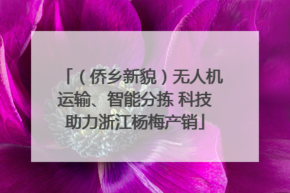 （侨乡新貌）无人机运输、智能分拣 科技助力浙江杨梅产销