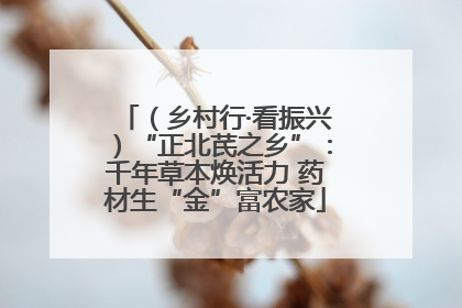 （乡村行·看振兴）“正北芪之乡”：千年草本焕活力 药材生“金”富农家