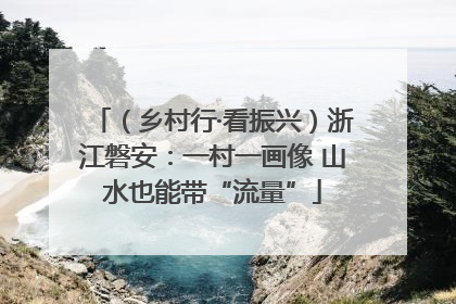 （乡村行·看振兴）浙江磐安：一村一画像 山水也能带“流量”