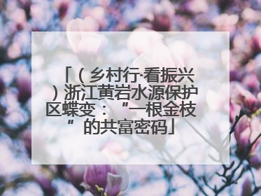 （乡村行·看振兴）浙江黄岩水源保护区蝶变：“一根金枝”的共富密码