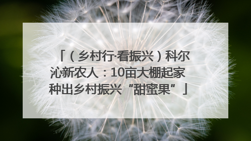 （乡村行·看振兴）科尔沁新农人：10亩大棚起家种出乡村振兴“甜蜜果”