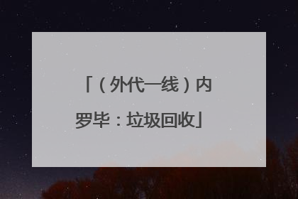 （外代一线）内罗毕：垃圾回收