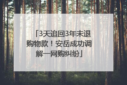 3天追回3年未退购物款！安岳成功调解一网购纠纷