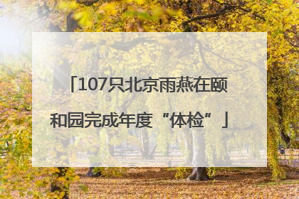 107只北京雨燕在颐和园完成年度“体检”