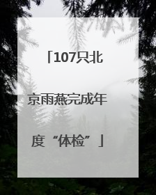 107只北京雨燕完成年度“体检”