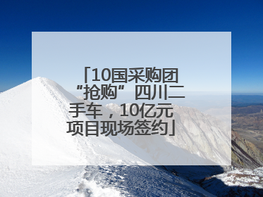 10国采购团“抢购”四川二手车，10亿元项目现场签约