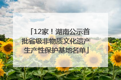12家！湖南公示首批省级非物质文化遗产生产性保护基地名单