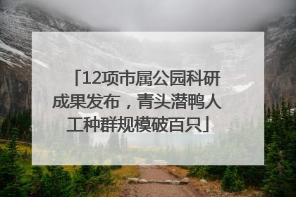 12项市属公园科研成果发布，青头潜鸭人工种群规模破百只