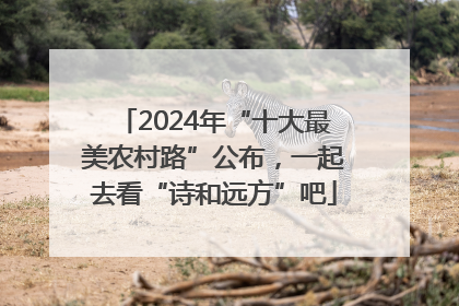 2024年“十大最美农村路”公布，一起去看“诗和远方”吧