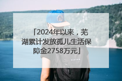 2024年以来，芜湖累计发放孤儿生活保障金2758万元