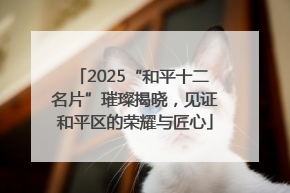 2025“和平十二名片”璀璨揭晓，见证和平区的荣耀与匠心