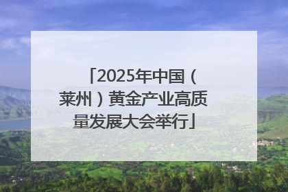 2025年中国（莱州）黄金产业高质量发展大会举行