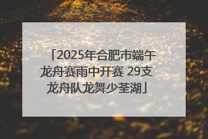 2025年合肥市端午龙舟赛雨中开赛 29支龙舟队龙舞少荃湖