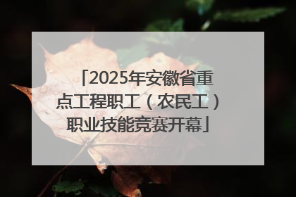 2025年安徽省重点工程职工（农民工）职业技能竞赛开幕