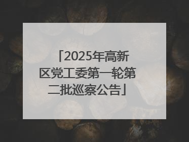 2025年高新区党工委第一轮第二批巡察公告