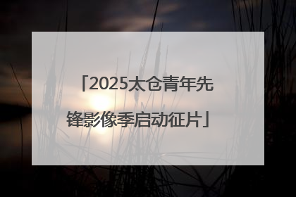 2025太仓青年先锋影像季启动征片
