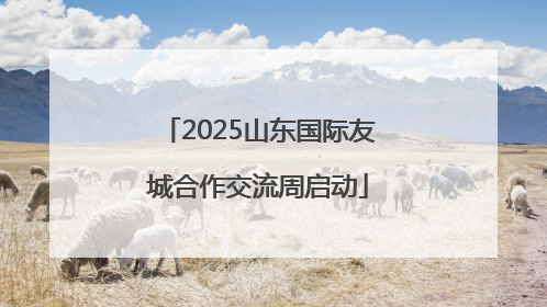 2025山东国际友城合作交流周启动