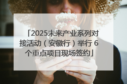 2025未来产业系列对接活动（安徽行）举行 6个重点项目现场签约