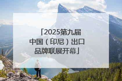 2025第九届中国（印尼）出口品牌联展开幕