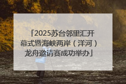 2025苏台邻里汇开幕式暨海峡两岸（洋河）龙舟邀请赛成功举办