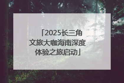 2025长三角文旅大咖海南深度体验之旅启动