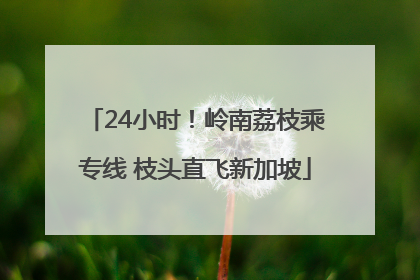 24小时！岭南荔枝乘专线 枝头直飞新加坡