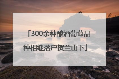 300余种酿酒葡萄品种相继落户贺兰山下