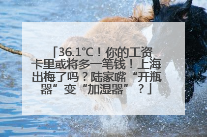 36.1℃！你的工资卡里或将多一笔钱！上海出梅了吗？陆家嘴“开瓶器”变“加湿器”？