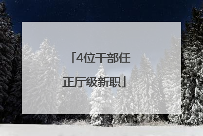 4位干部任正厅级新职